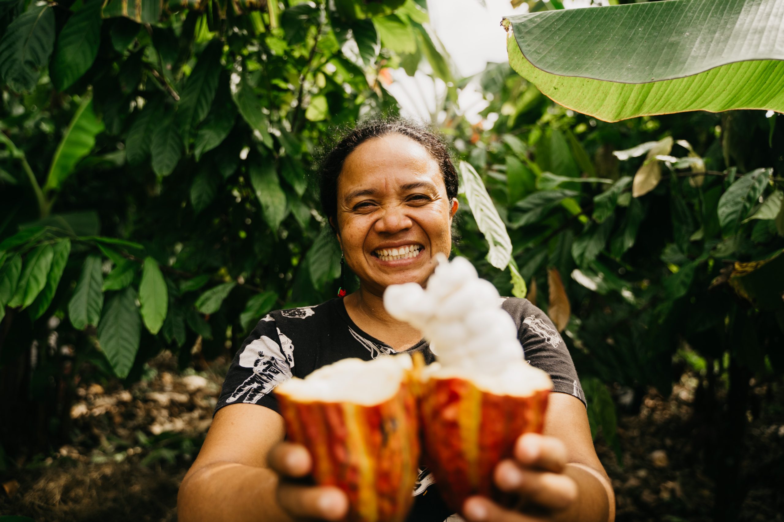 Luker Chocolate’s sweet balance: tradition, innovation and sustainable cocoa