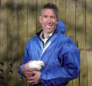 Tesco improves chicken welfare with £50m farming boost